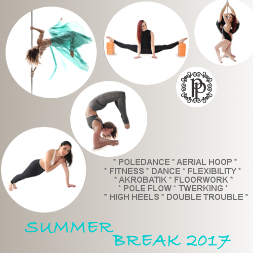 Summer Break 2017 Workshops